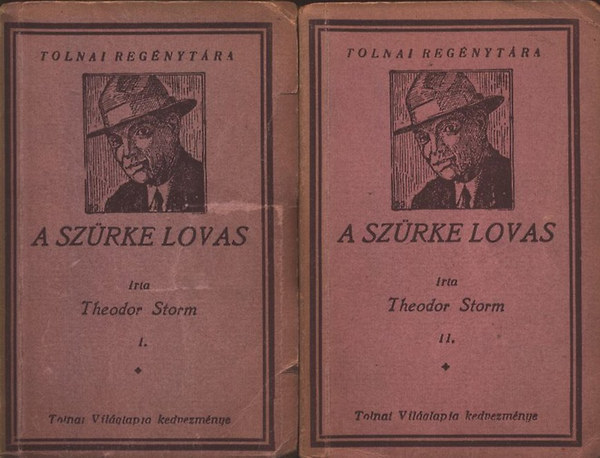 Theodor Storm - A szrke lovas I-II. (Tolnai regnytra)