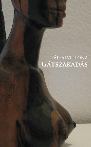 Pálvalvi Ilona - Gátszakadás