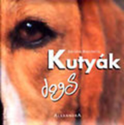 Adriano Bacchella - Kutyk - Dogs