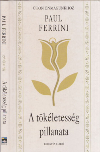 Paul Ferrini - A tkletessg pillanata