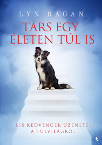Lyn Ragan - Társ egy életen túl is
