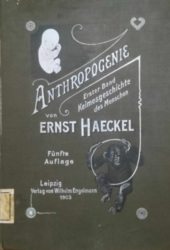 Ernst Haeckel - Keimesgeschichte des Menschen