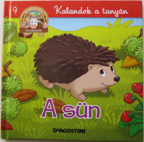 Kalandok a tany�n - A s�n
