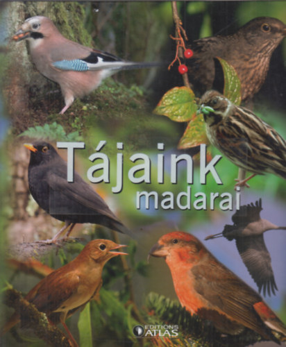 Tjaink madarai (gyjtalbum)