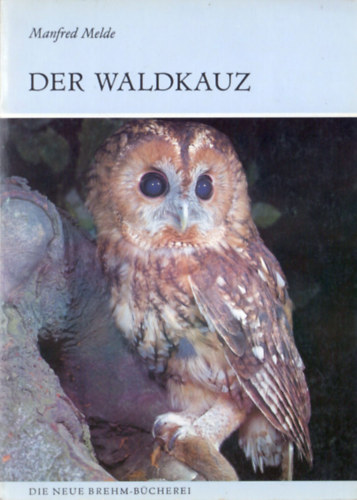 Manfred Melde - Der Waldkauz (Strix aluco)