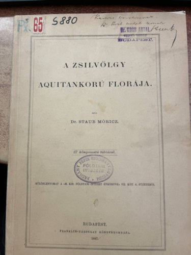 Dr. Staub Mricz - A Zsilvlgy aquitankor flrja