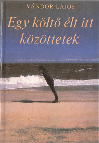 Vándor Lajos - Egy költő élt itt közöttetek