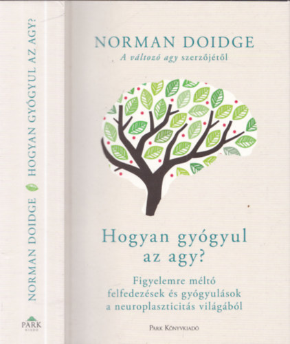 Norman Doidge - Hogyan gygyul az agy?