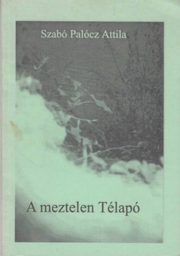 ifj. Szloboda Tibor Szabó Palócz Attila - A meztelen Télapó / A.