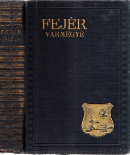 DR JUH�SZ VIKTOR Schneider Mikl�s - Fej�r-v�rmegye: magyar v�rosok �s v�rmegy�k monogr�fi�ja, XXII.