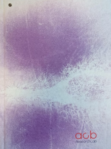 Hejettes szomlyaz�k: Borgying�