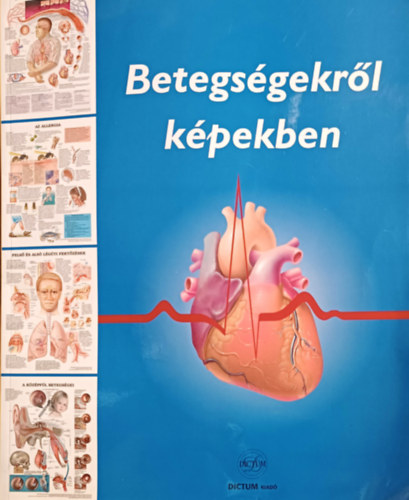 Anatomical Chart Company - Betegs�gekr�l k�pekben