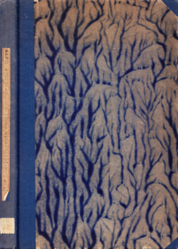 Lajtor L�szl� - Kossuth dunai konf�der�ci�s terve �s el�zm�nyei