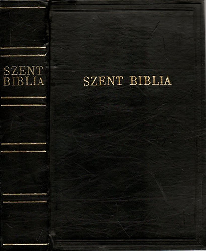 Kroli Gspr ford. - Szent Biblia, azaz: Istenek  s jtestamentomban foglaltatott egsz