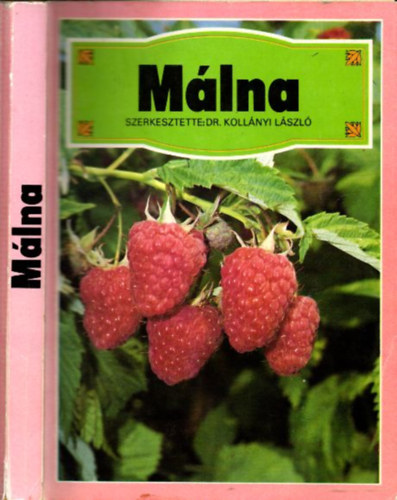Dr. Kollnyi Lszl - Mlna
