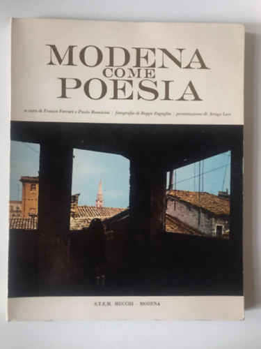 Paolo Bonvicini Franco Ferrari - Modena come poesia