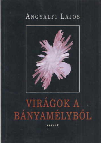 Angyalfi Lajos - Virgok a bnyamlybl