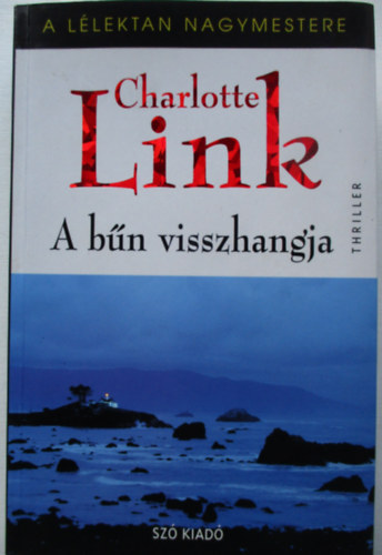 Charlotte Link - A bn visszhangja