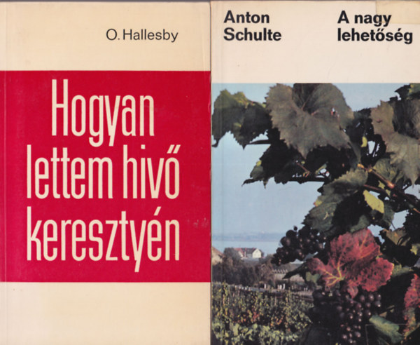 H.E. Fosdick, O. Hallesby, Anton Schulte Werner Gitt - 4 db vallsi knyv: A nagy lehetsg + Hogyan lettem hv keresztyn + A Biblia a modern ember kezben + Logosz vagy kosz