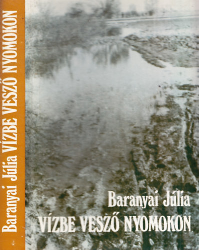 Baranyai Jlia - Vzbe vesz nyomokon