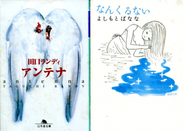 T�bb szerz� - 2 db idegen nyelv� (k�nai) k�nyv