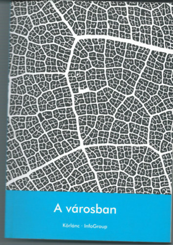Vsrhelyi Tams  (szerk.) - A vrosban