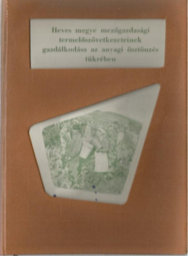 Heves megye mez�gazdas�gi termel�sz�vetkezeteinek gazd�lkod�sa az anyagi �szt�nz�s t�kr�ben