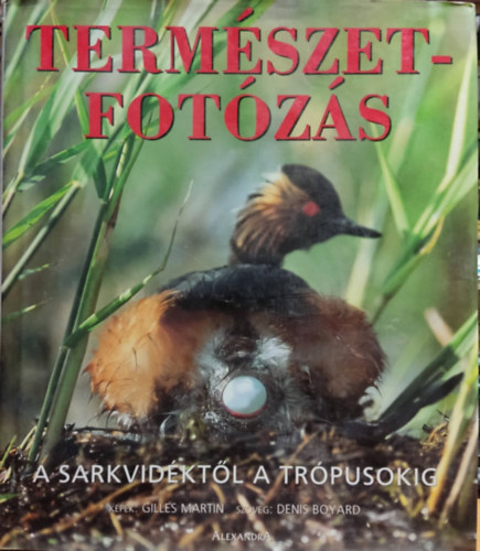 G.-Boyard, D. Martin - Termszetfotzs (a sarkvidktl a trpusokig)