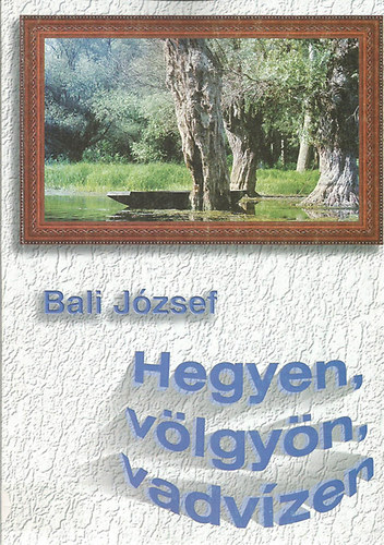 Bali Jzsef - Hegyen, vlgyn, vadvzen