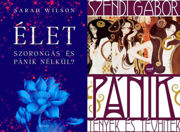 Szendi G�bor Sarah Wilson - 2 db k�nyv a szorong�s �s a p�nik legy�z�s�re: �LET szorong�s �s p�nik n�lk�l? + P�nik - T�nyek �s t�vhitek