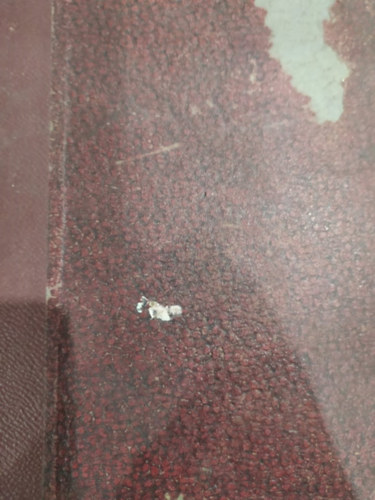 Természettudományi közlöny 1929