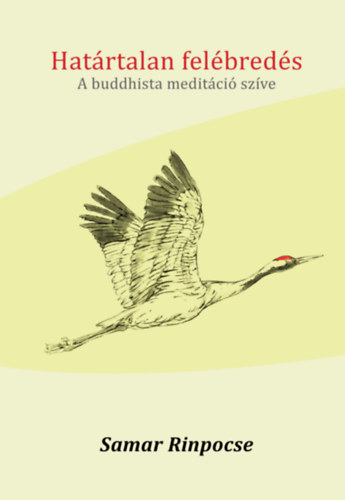 Samar Rinpocse - Hat�rtalan fel�bred�s - A buddhista medit�ci� sz�ve