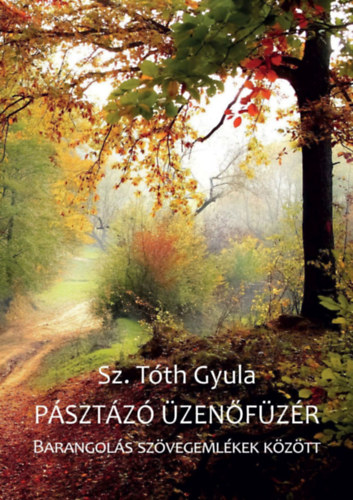 Sz. Tth Gyula - Psztz zenfzr