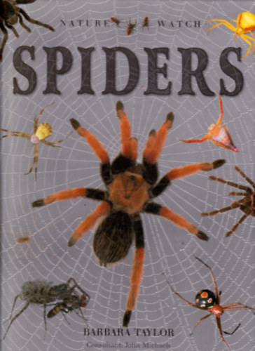 Barbara Taylor - Spiders (Nature Watch)