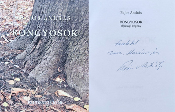 Pajor Andrs - Rongyosok