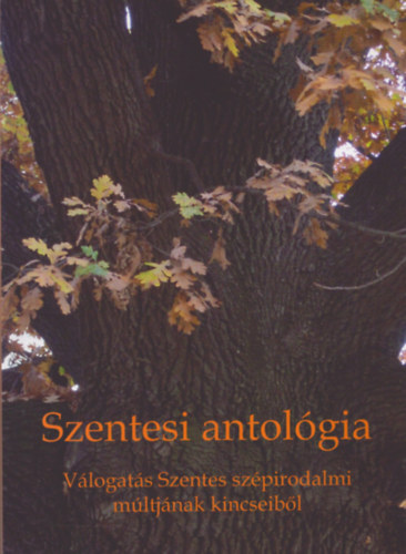 Vágvölgyi Zoltán - Szentesi antológia - válogatás Szentes szépirodalmi múltjának kincseiből