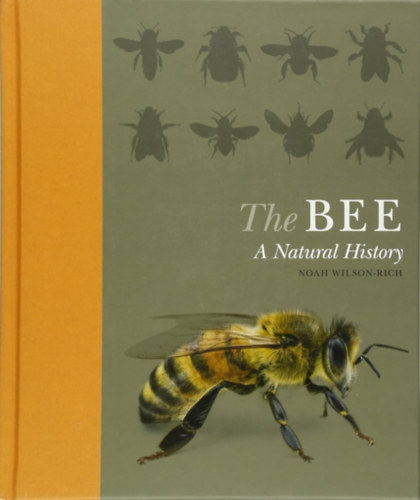 Noah Wilson-Rich - The Bee: A Natural History (Ivy Press)