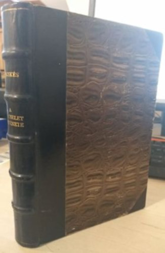 Kecsk�s P�l - A b�lcselet t�rt�nete f�bb von�saiban