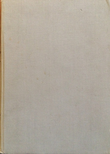 Henri Theil - Kzgazdasgtan s informcielmlet