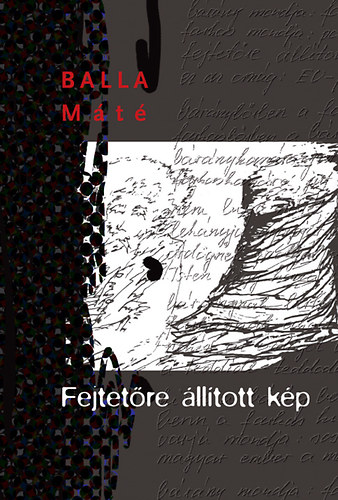 Balla Máté - Fejtetőre állított kép