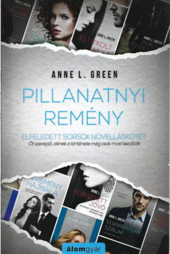 Anne L. Green - Pillanatnyi remény (novella)