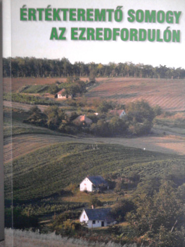 beln Kotnszky Gyngyi - rtkteremt Somogy az ezredforduln 1998-2002