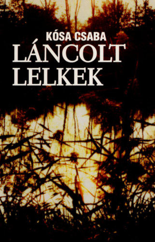 Ksa Csaba - Lncolt lelkek