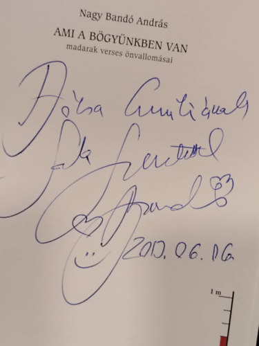 Nagy Band� Andr�s - Ami a b�gy�nkben van