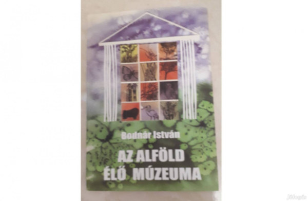 Bodnr Istvn - Az Alfld l mzeuma