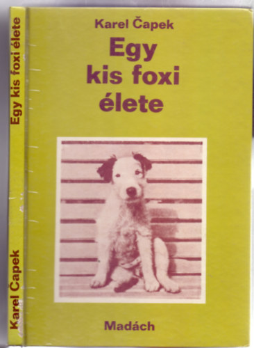 Capek Karel - Egy kis foxi lete