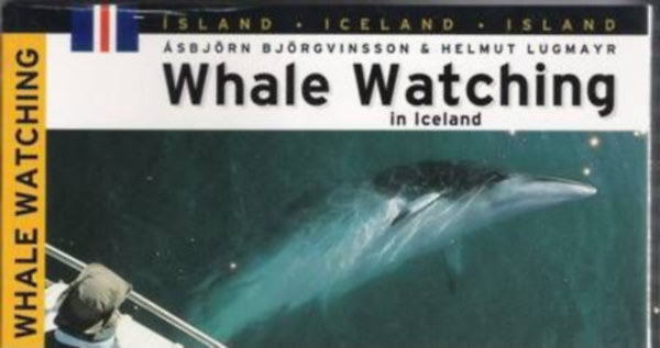 Helmut Lugmayr, Martin Camm  sbjrn Bjrgvinsson (illus.) - Whale Watching in Iceland