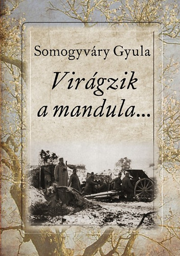 Vitz Somogyvry Gyula - Virgzik a mandula...