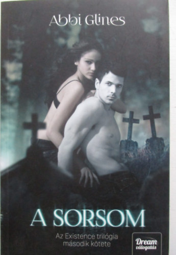 Abbi Glines - A sorsom