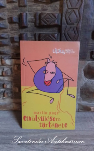 Martin Page - Elh�ly�l�sem t�rt�nete (Comment je suis devenu stupide)